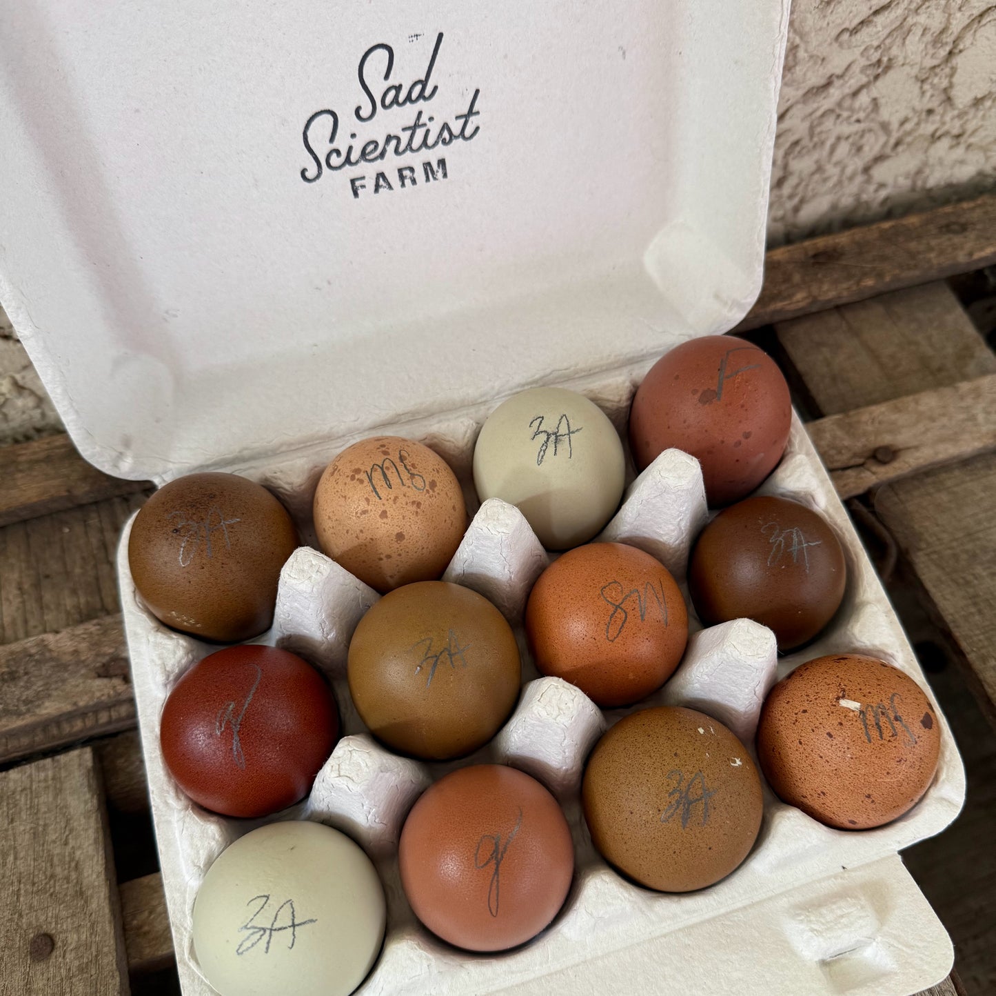 The Egg Collector’s Dozen | Rainbow Hatching Eggs