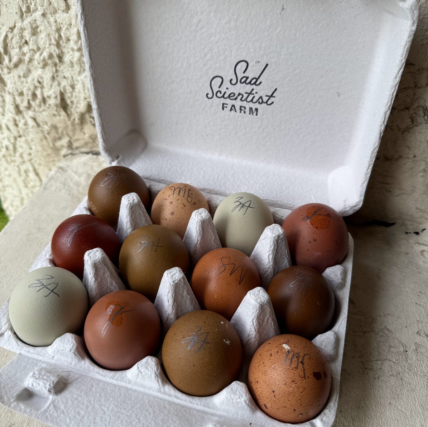 The Egg Collector’s Dozen | Rainbow Hatching Eggs